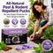 🐭 All-Natural Peppermint & Cinnamon Pest & Rodent Repellent Pucks 🕷️🐍